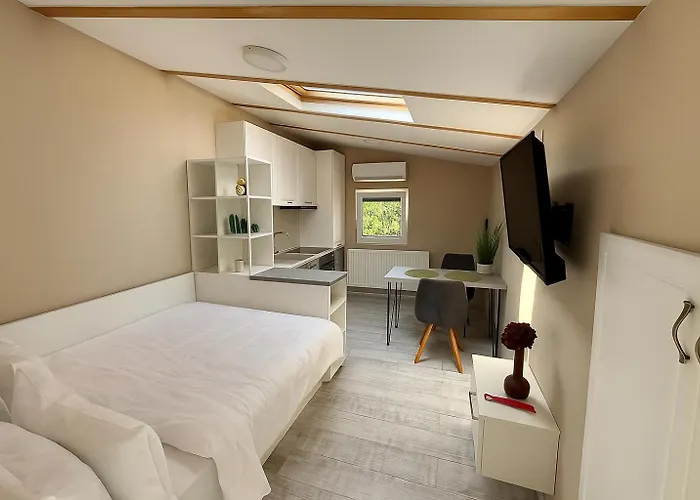 Arena 7-17 Apartahotel 4*